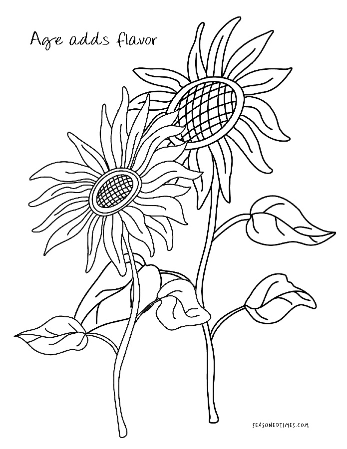 CPSunflowers1020