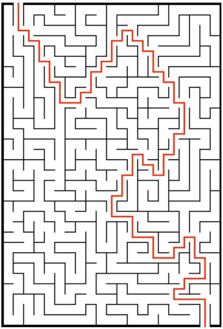 Blueberries Maze 524 Solution – Seasoned Times