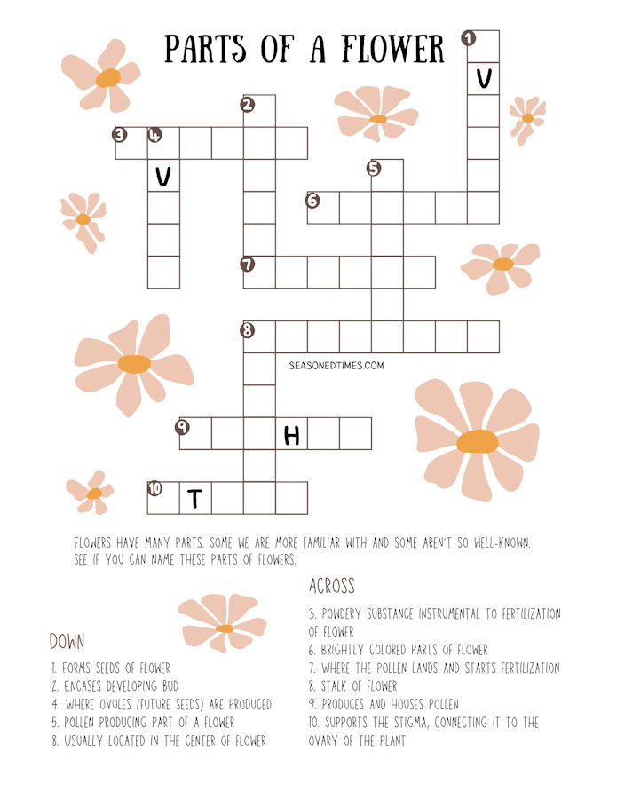 125FlowerPartsCrossword