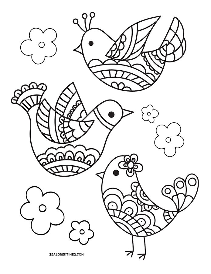 ColoringBrdsFlrs525