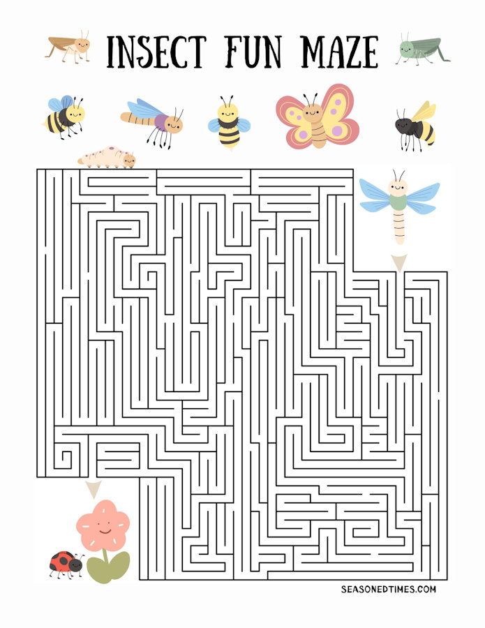 InsectFunMaze
