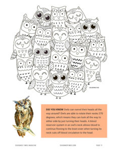 SeasonedTimesMagazine26_p17