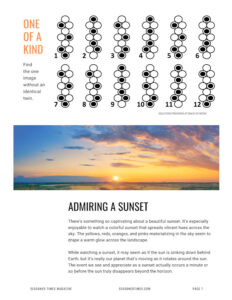 SeasonedTimesMagazine26_p7