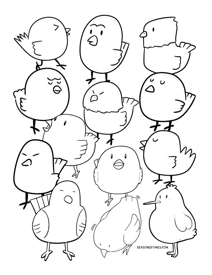 Birds626