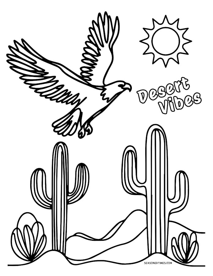 DesertVibes726